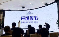 高迪安元梦智能:解码智能艾琳的元宇宙图书馆
